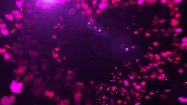 紫色浪漫爱心婚礼背景AE模板视频的预览图